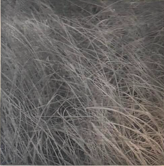 Black and white transfer image of dense coastal grass